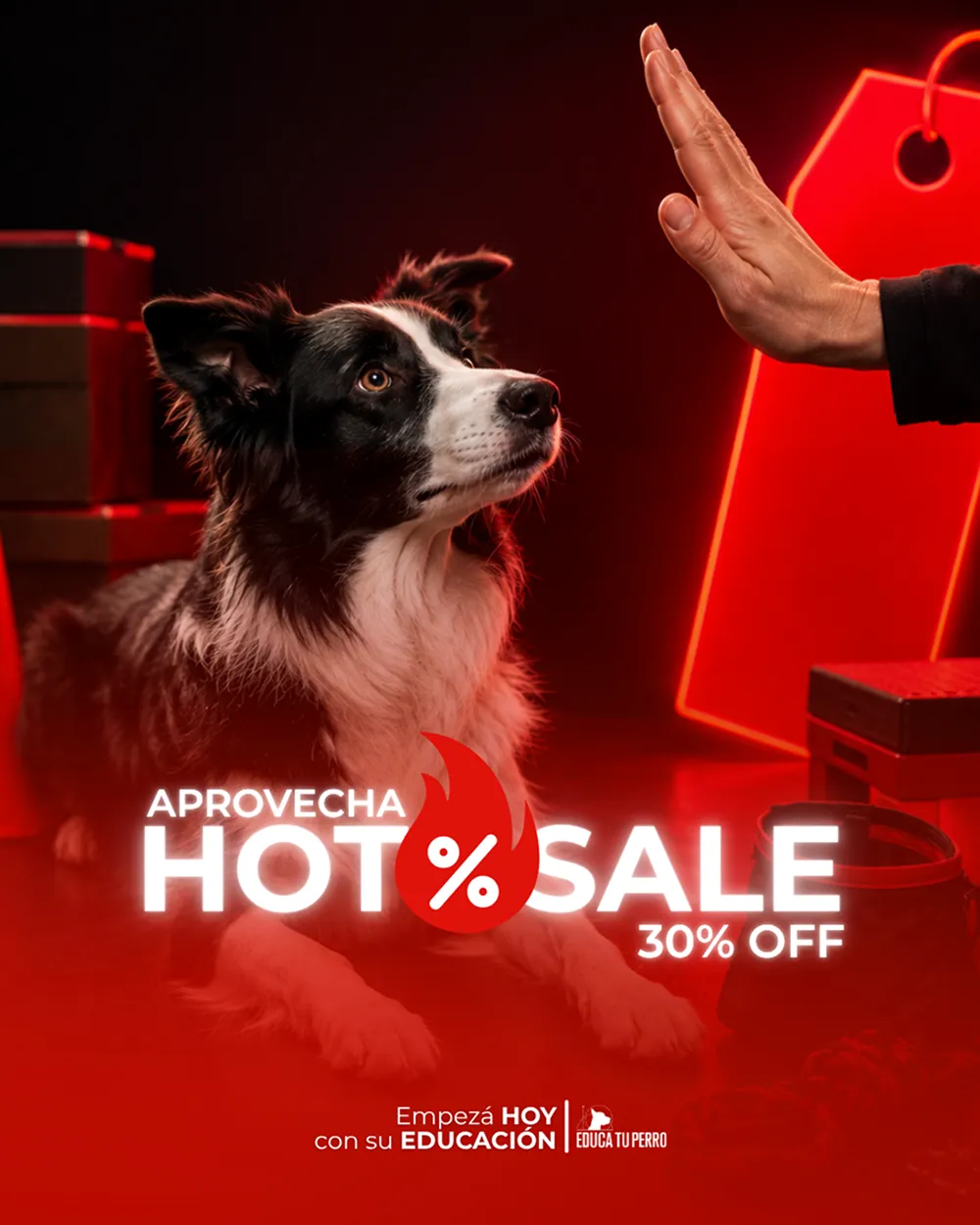 Educa Tu Perro 6